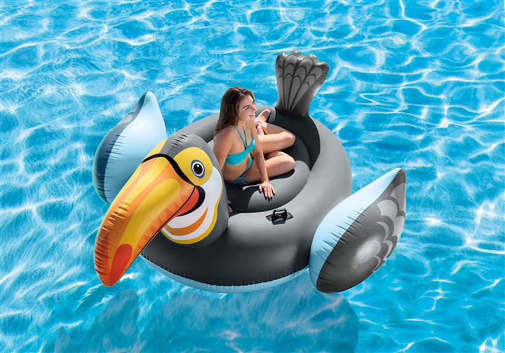 Inflatables 101: Tips for Choosing the Perfect Pool Float