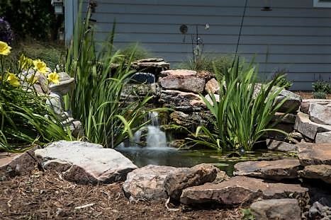 What’s Trending in Landscaping