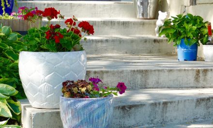 10 Tips for Urban Gardening