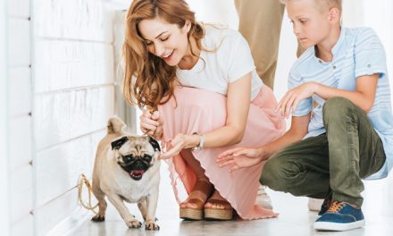 4 Benefits of Pet Adoption