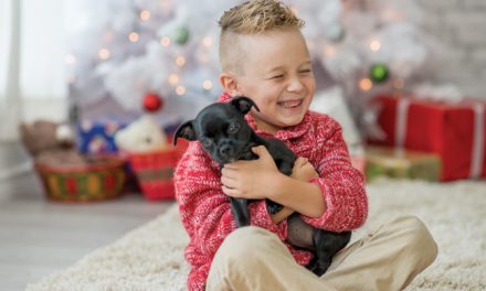 Bring a Pet Home for the Holidays