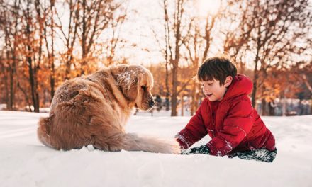 Help Pets Ward Off Winter Risks