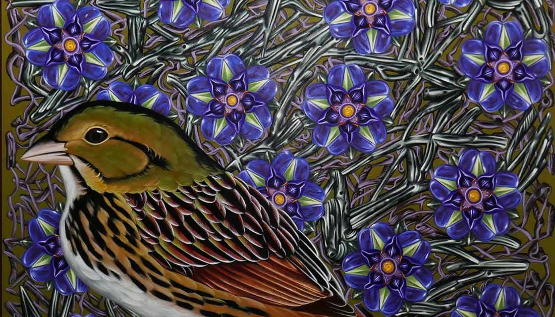 LLCC’s James S. Murray Gallery features “Flora & Fauna” March 18-April 11