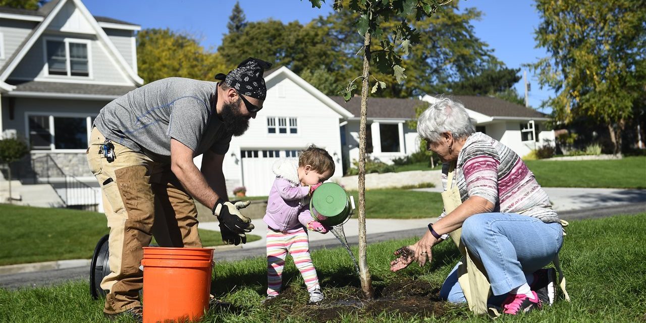 5 Tips for Planting and Caring for Trees this Arbor Day