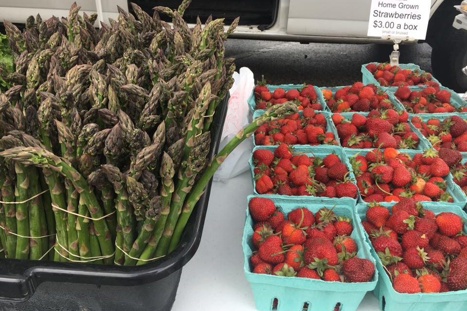 Old Capitol Farmers Market Starts 20th Season May 18, 2019