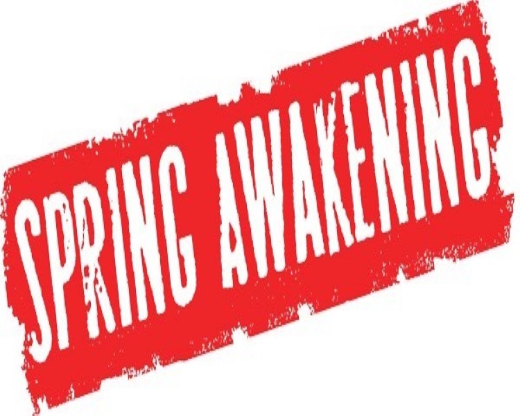 Spring Awakening November 15th, 2019 – November 24th, 2019 at Hoogland