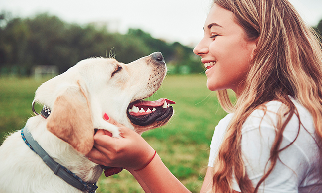 4 Tips for Welcoming a New Dog into Your Home