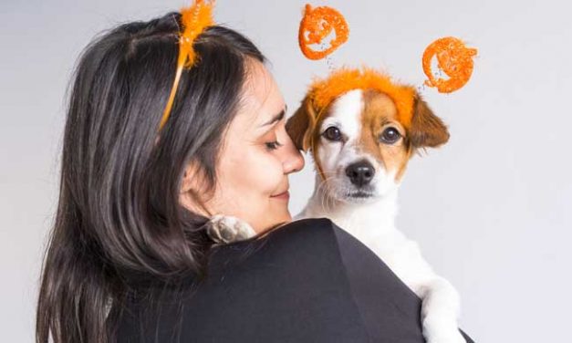 Tips to Celebrate Halloween with Your Pet
