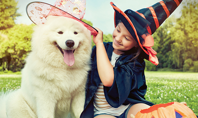 5 Tips to Safely Celebrate Halloween with Your Pets