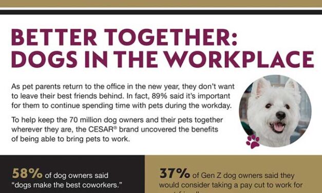 The Benefits of Dogs in the Workplace