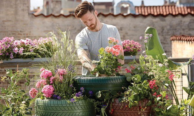 7 Garden Growing Basics for Beginners
