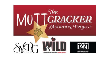 The “Muttcracker” Comes to Springfield